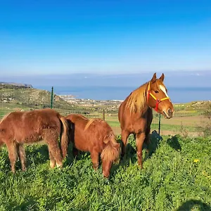Appartamento Panoramica Sul Mare Valderice